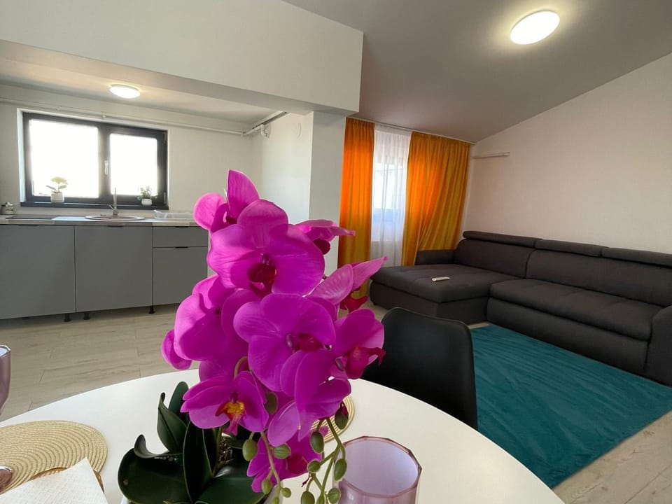 Residence 7 De Lux ! Apartment in Prahova, Romania