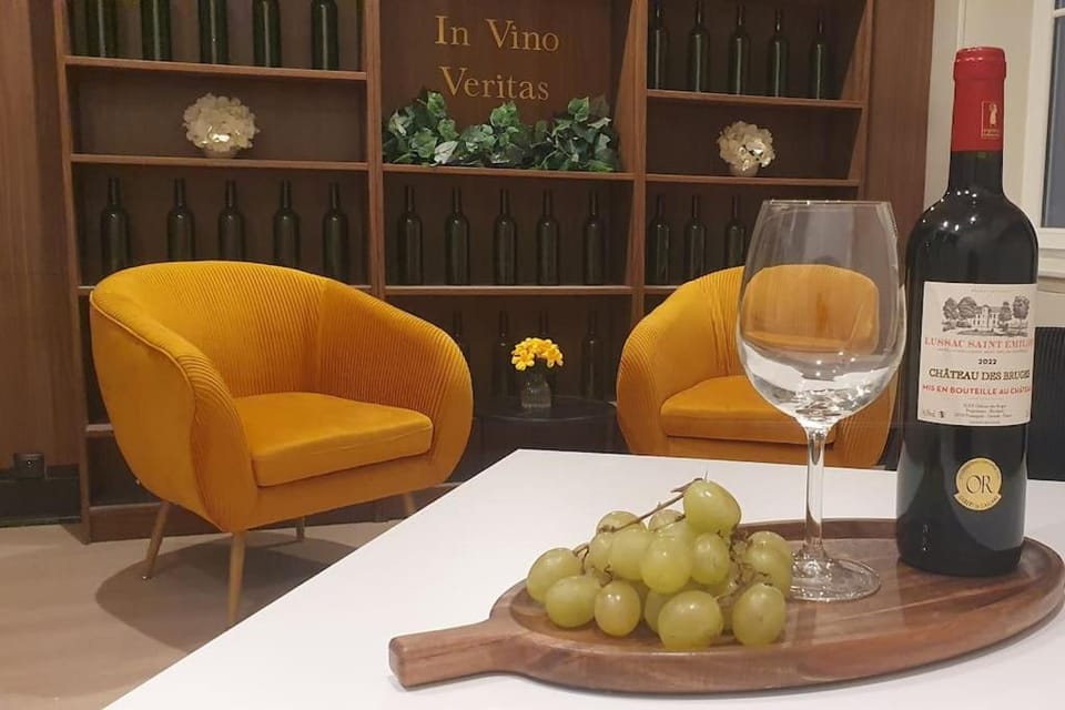 Suite Vinicole Hypercentre, Bastille & Gare 9 min à pied Apartment in Grenoble
