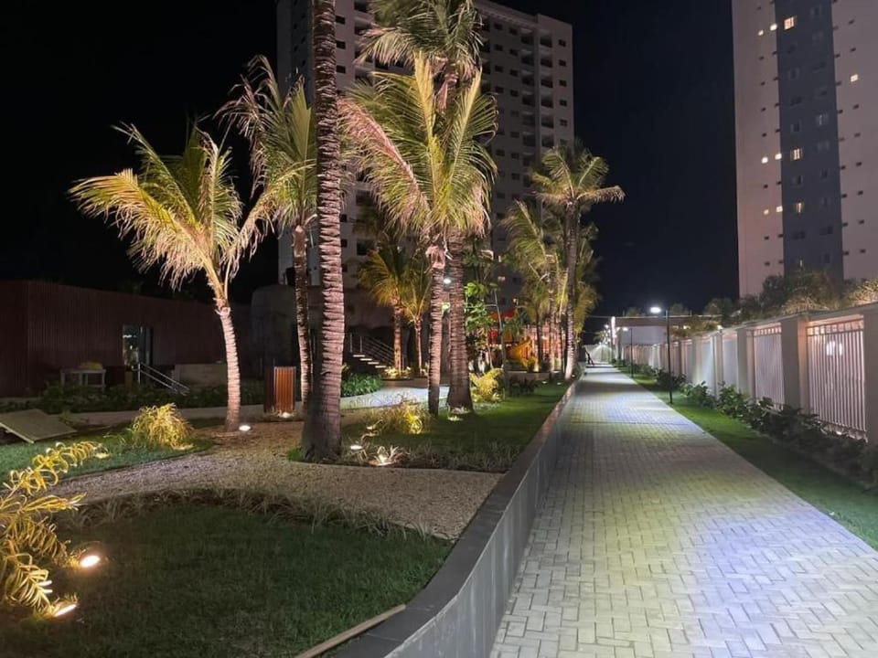 Night, Natural landscape, Garden