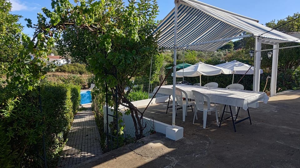 Patio, Garden