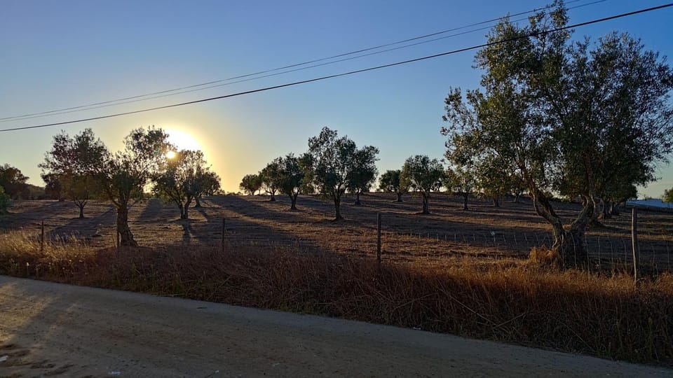 Off site, Natural landscape, Street view, Sunset, Quiet street view