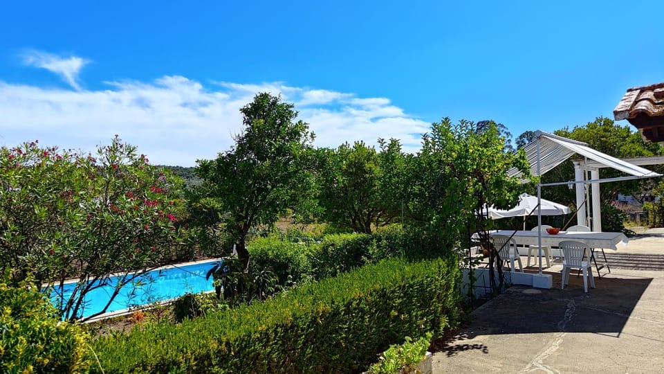 Garden, Garden view, Swimming pool