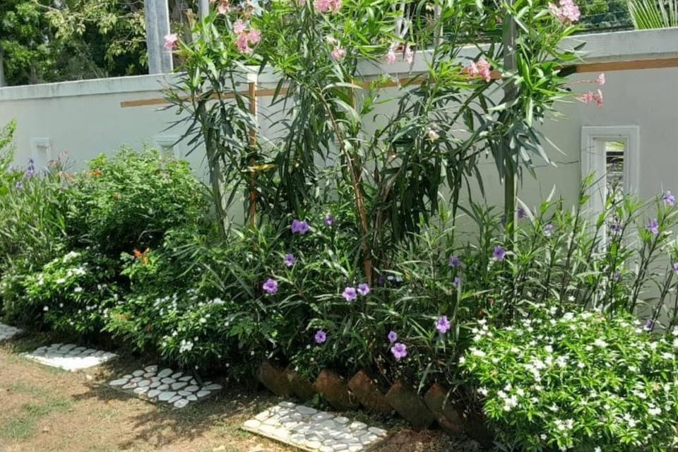 Sri Keroma Bajandoh Muar Homestay House in Johor