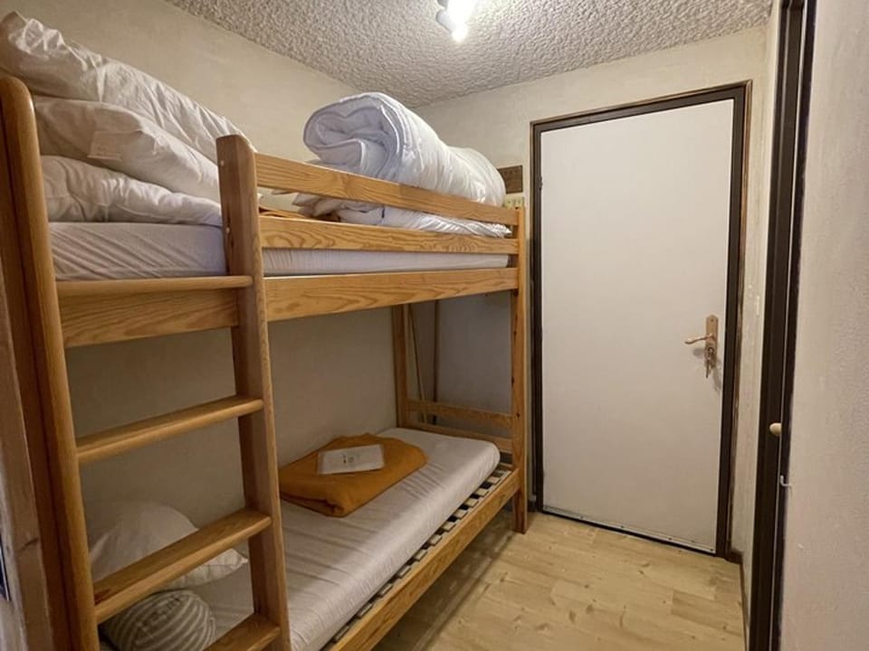 Studio agréable en station - Animaux admis - FR-1-787-76 Apartment in Auvergne-Rhône-Alpes