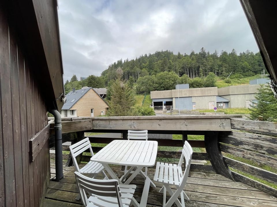 Studio agréable en station - Animaux admis - FR-1-787-76 Apartment in Auvergne-Rhône-Alpes