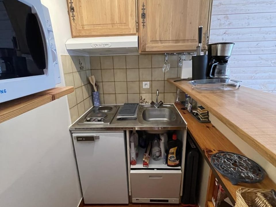 Studio agréable en station - Animaux admis - FR-1-787-76 Apartment in Auvergne-Rhône-Alpes