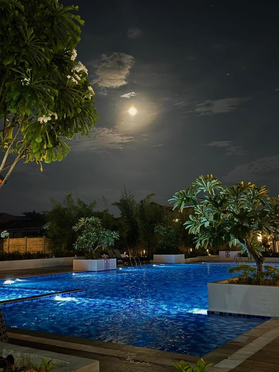 Night, Garden view, Pool view, Swimming pool