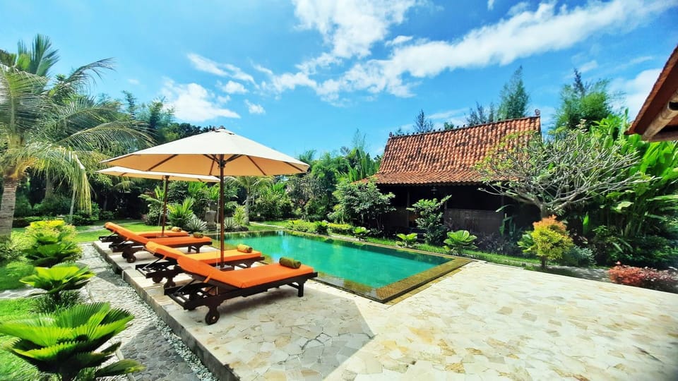 Property building, Patio, Spring, Day, Garden, Garden view, Pool view, Swimming pool, Swimming pool, sunbed