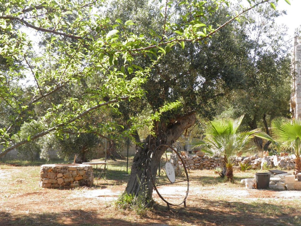 Garden, Garden, Garden view