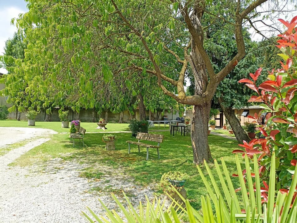 Summer, View (from property/room), Garden view, Inner courtyard view