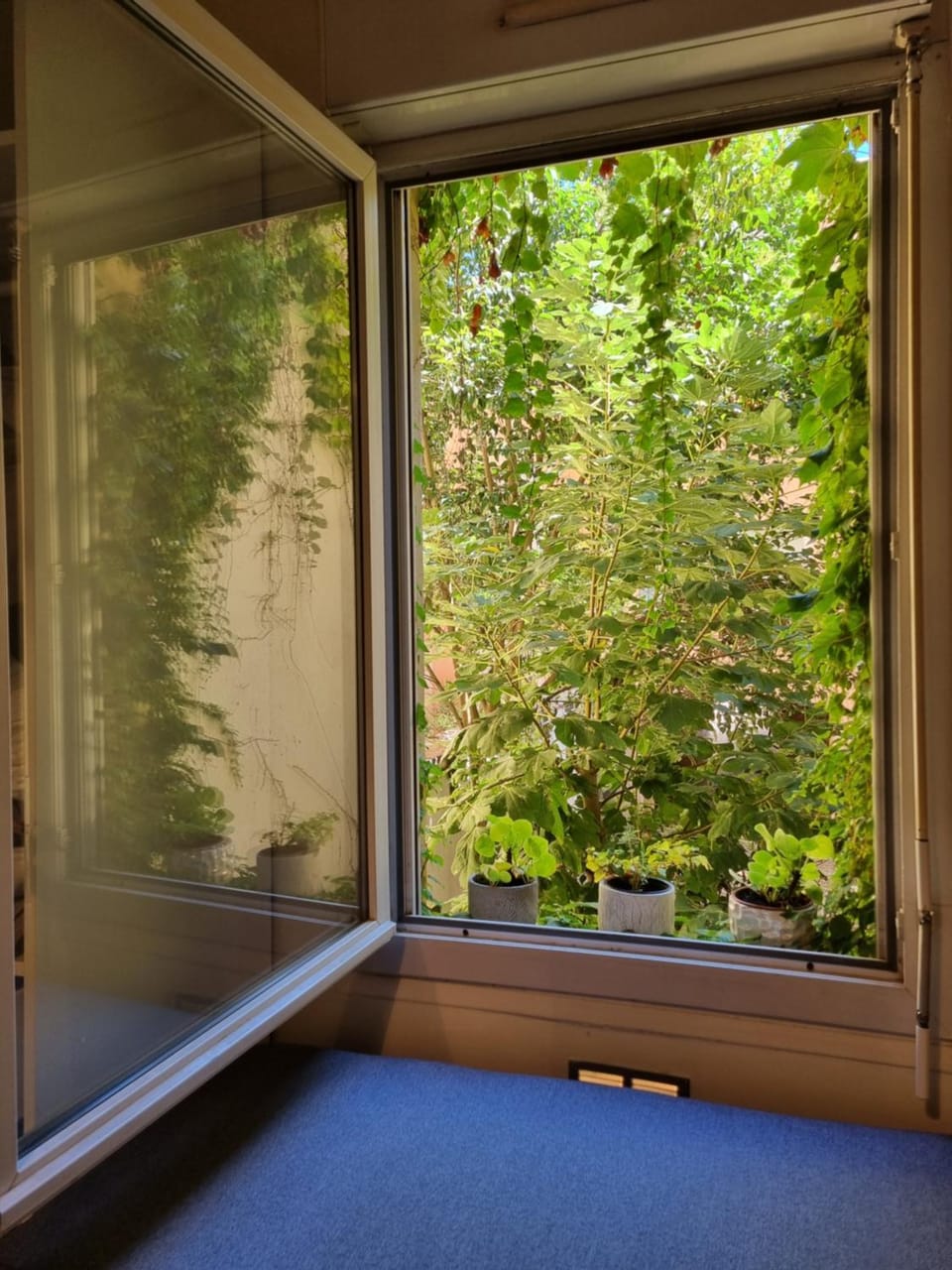 La Maison de Maila Apartment in Toulouse