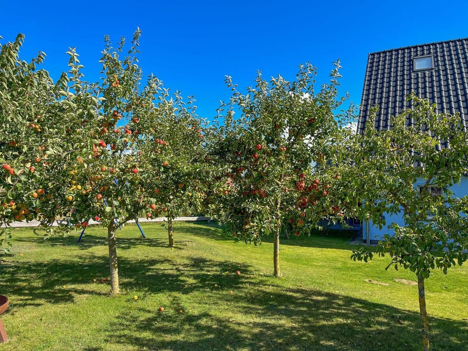 Property building, Garden