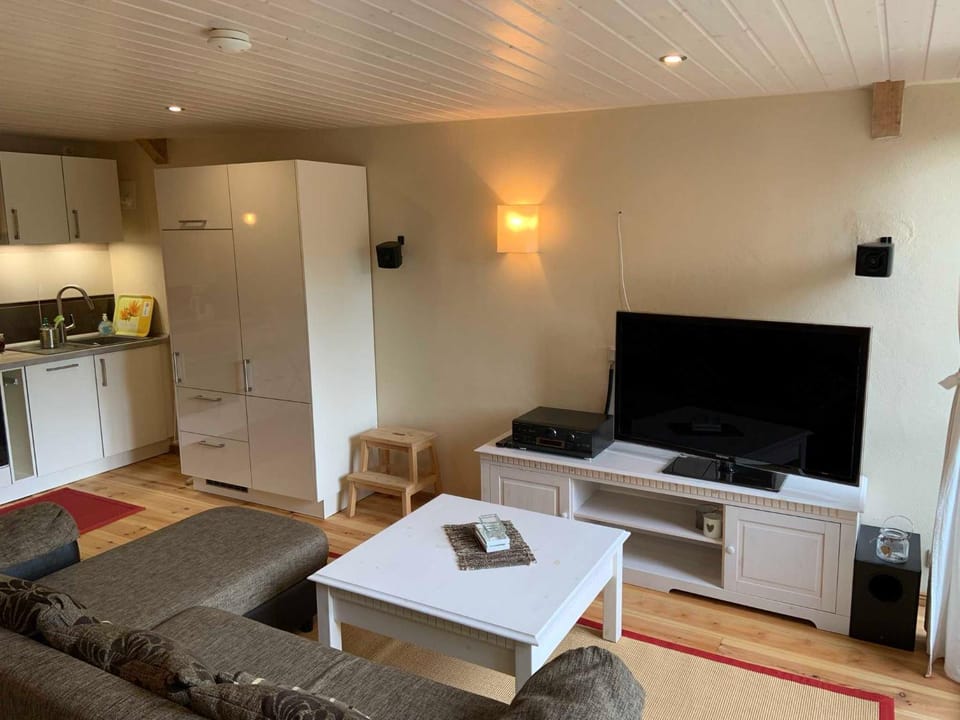 TV and multimedia, Kitchen or kitchenette, Living room, Seating area