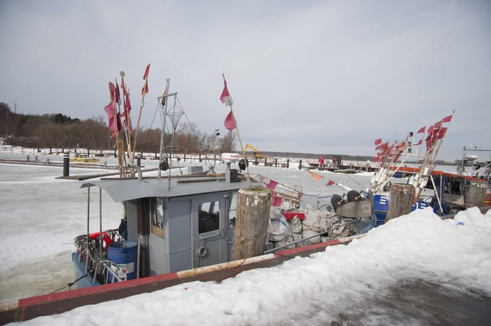 Day, Neighbourhood, Winter