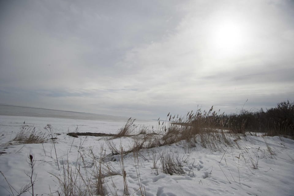 Neighbourhood, Natural landscape, Winter, Sea view