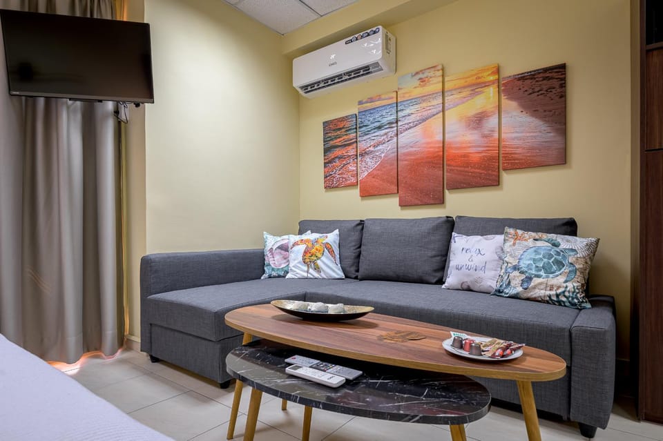 TV and multimedia, Living room, Photo of the whole room, Seating area, air conditioner