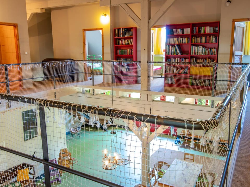 Library, Photo of the whole room, Decorative detail