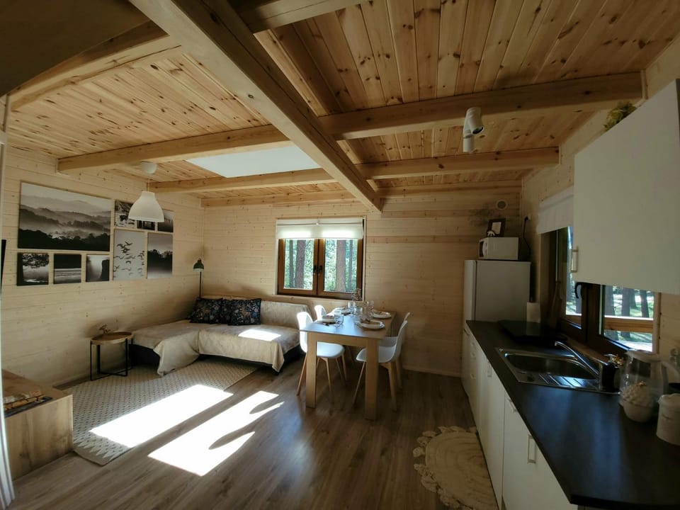 Kitchen or kitchenette, Living room, Seating area, Dining area, pet friendly