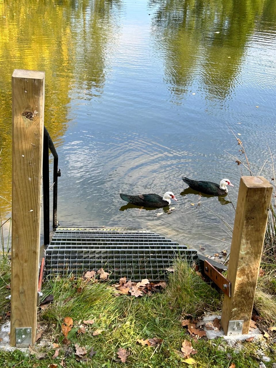 Farm Stay Happy Dogs Ranch Farm Stay in Skåne County