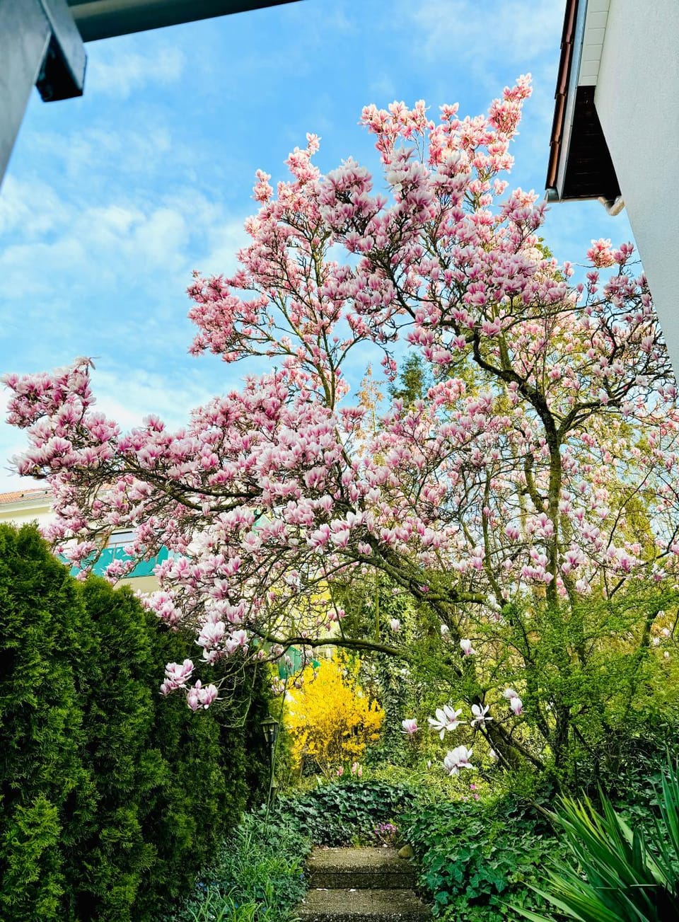 Spring