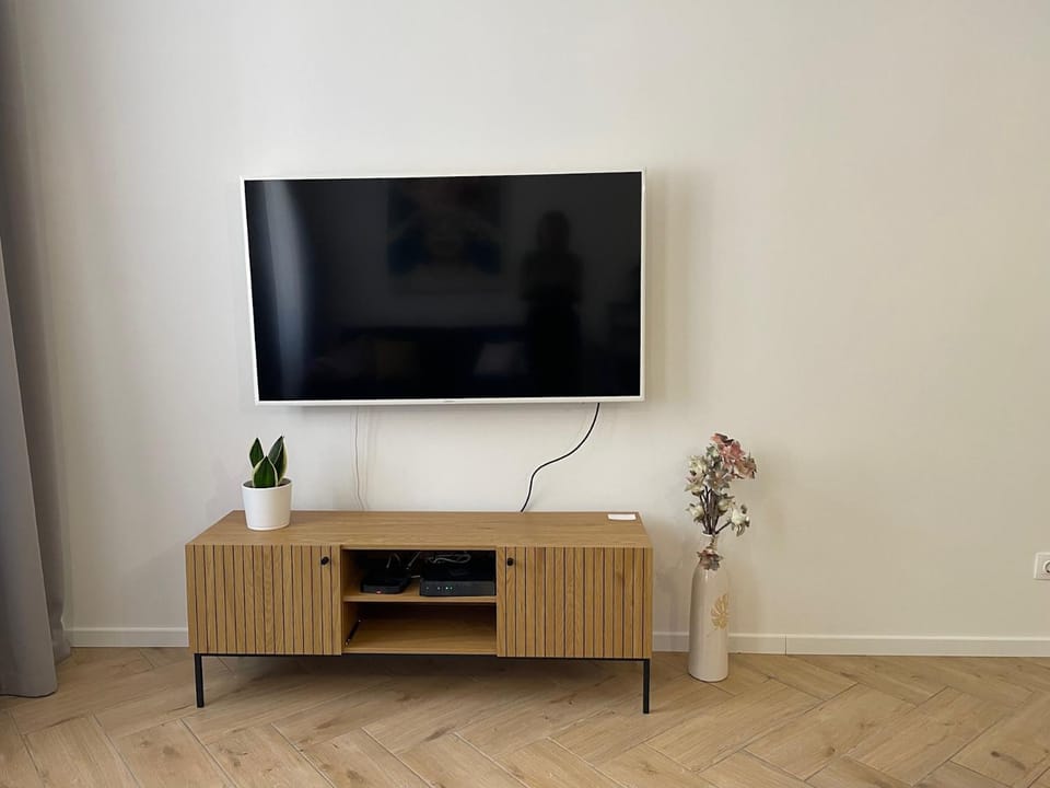 TV and multimedia