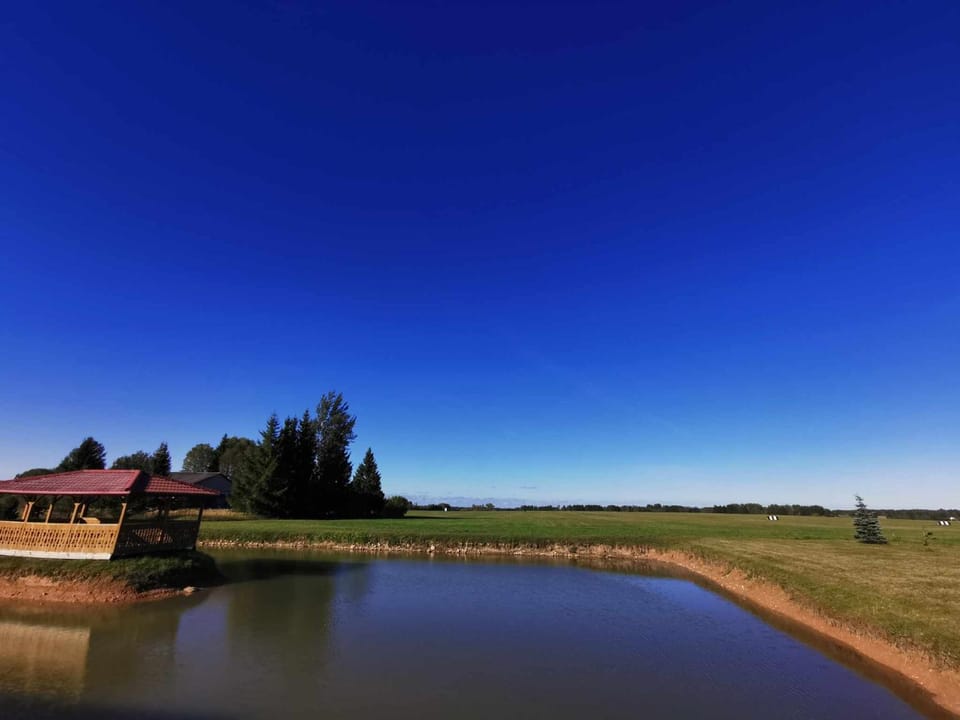 Natural landscape, View (from property/room), Lake view