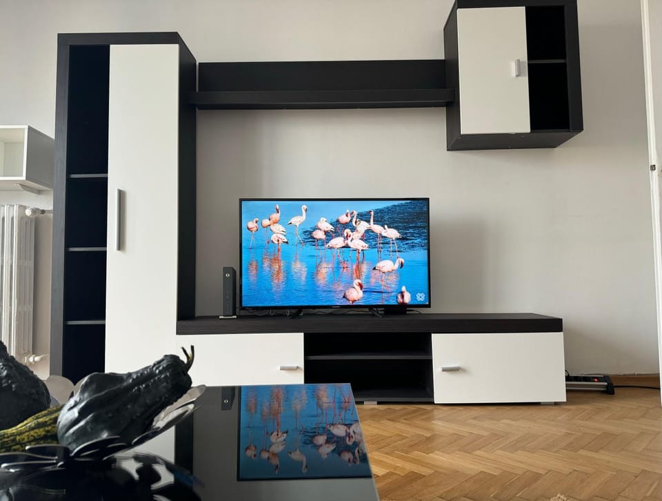 TV and multimedia