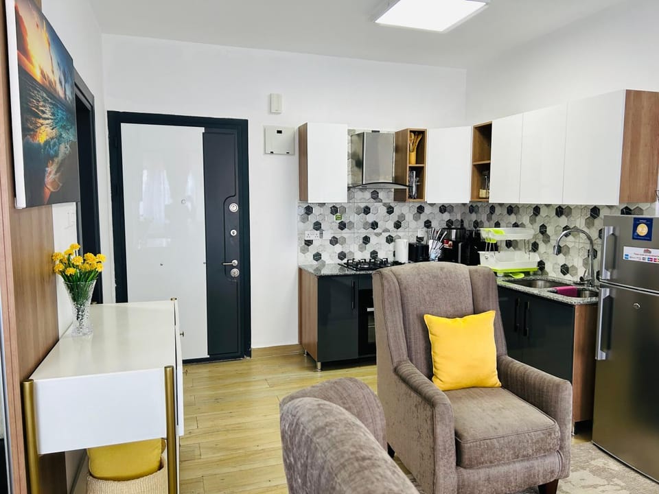 Kitchen or kitchenette, Living room, Seating area, oven, stove