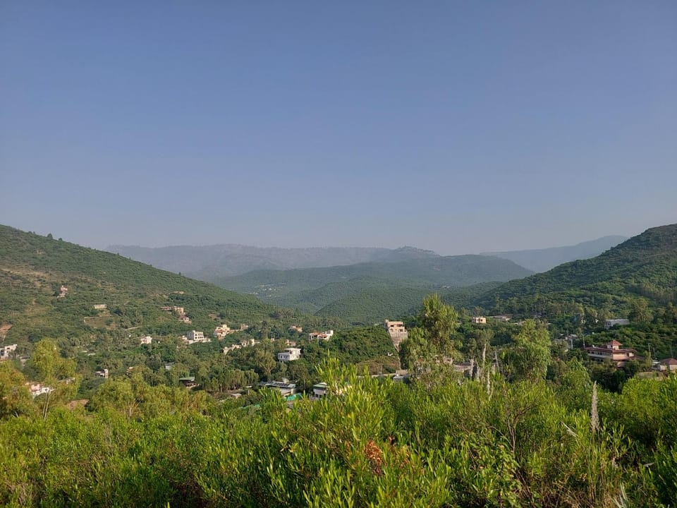 Mountain view
