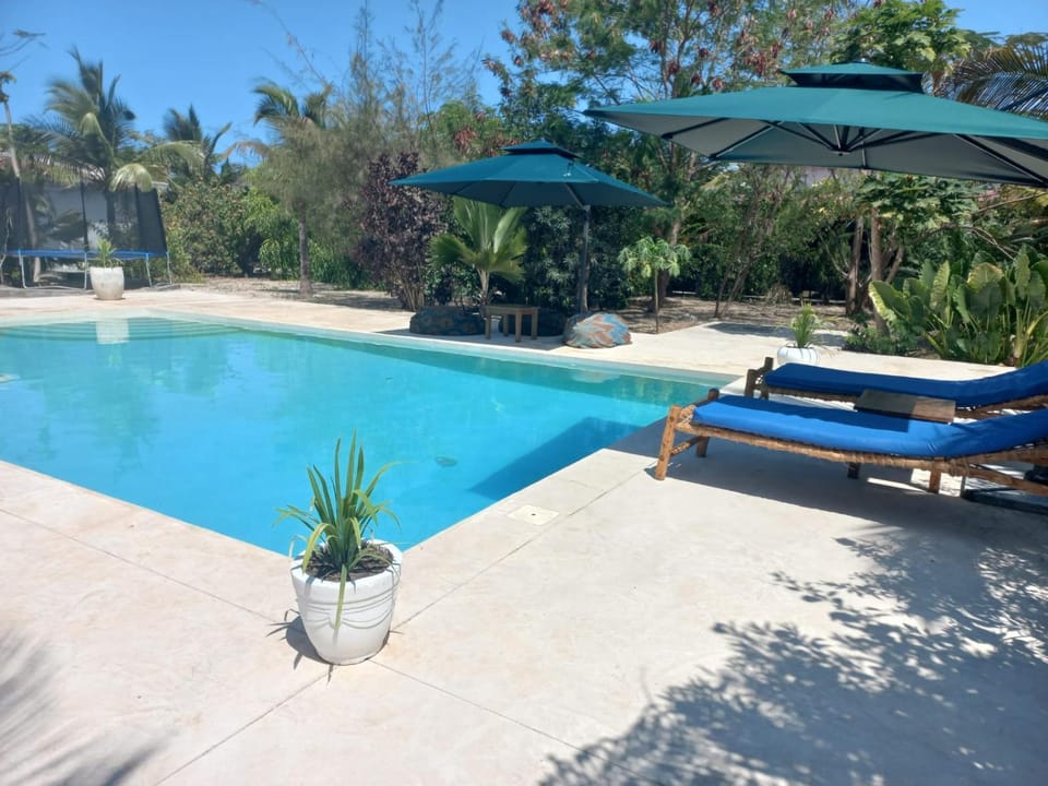 Garden, Swimming pool, Swimming pool, sunbed