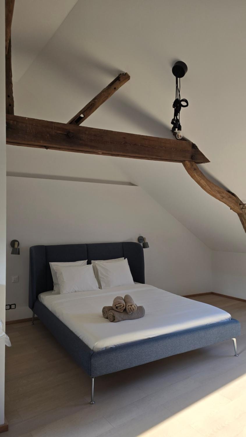 Botanique Appart-Hôtel Apartment in Hauts-de-France