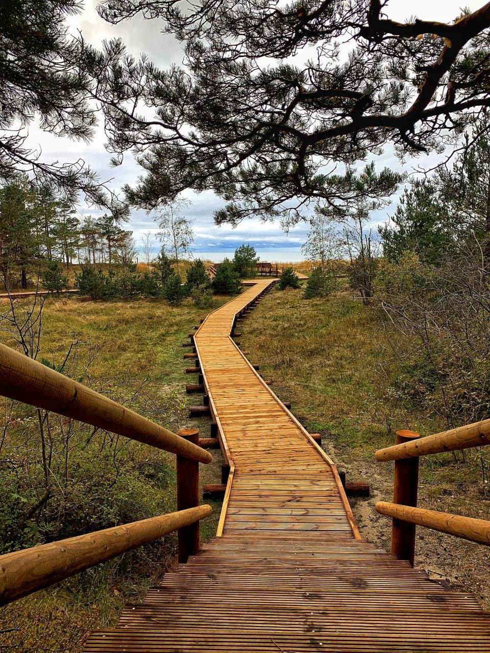 Natural landscape