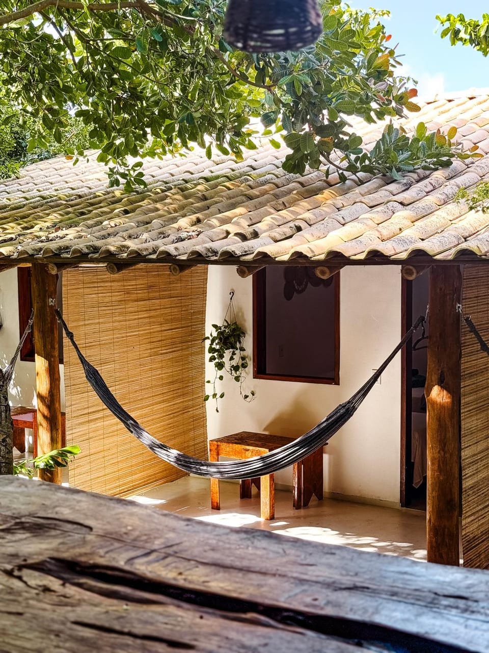 Patio, Dining area