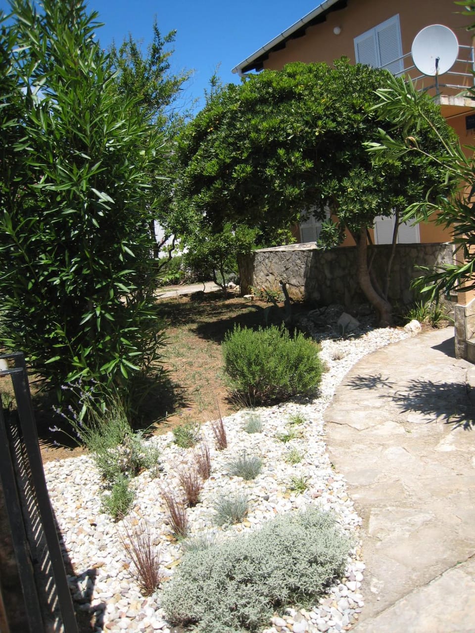 Garden view