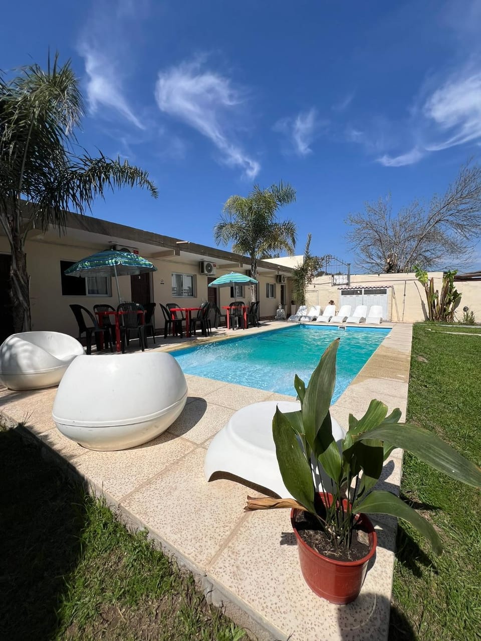Garden, Swimming pool