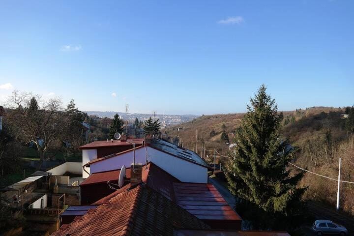 Apartment Trojska Bed and Breakfast in Prague