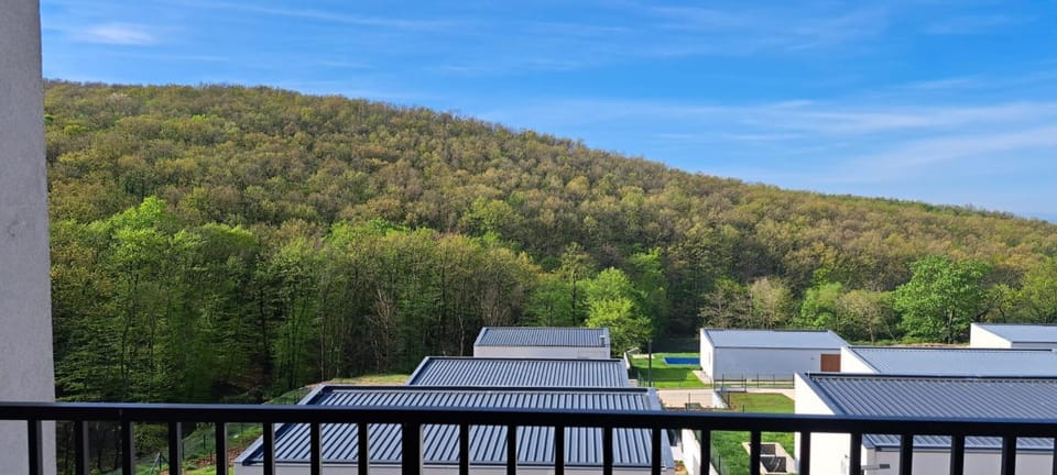 Spring, Day, Natural landscape, View (from property/room), Balcony/Terrace, Balcony/Terrace, Mountain view
