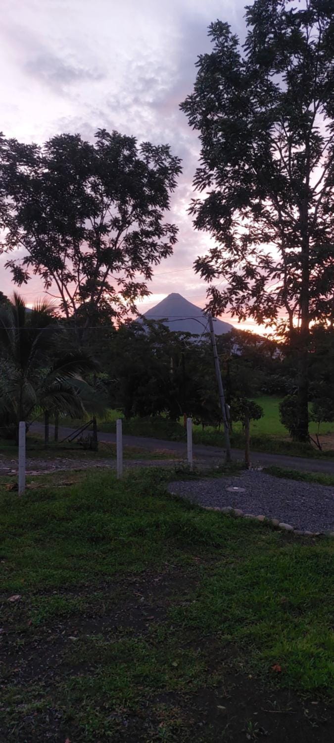 Landmark view