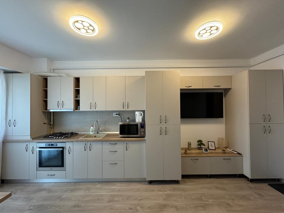 Lazar Flat Apartment - Palas Center Apartment in Moldova