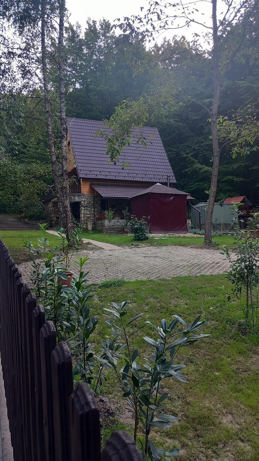 Property building, Garden, Garden view