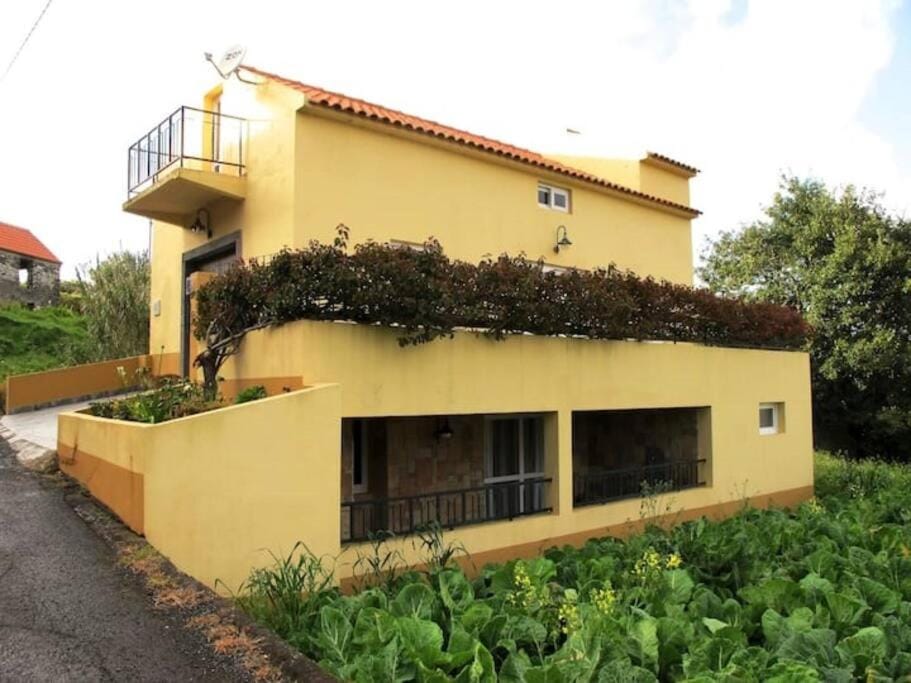 Casa do Bisbis House in Madeira District