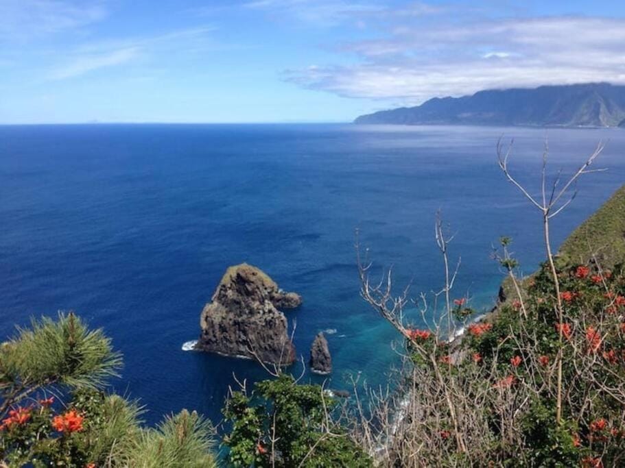 Casa do Bisbis House in Madeira District