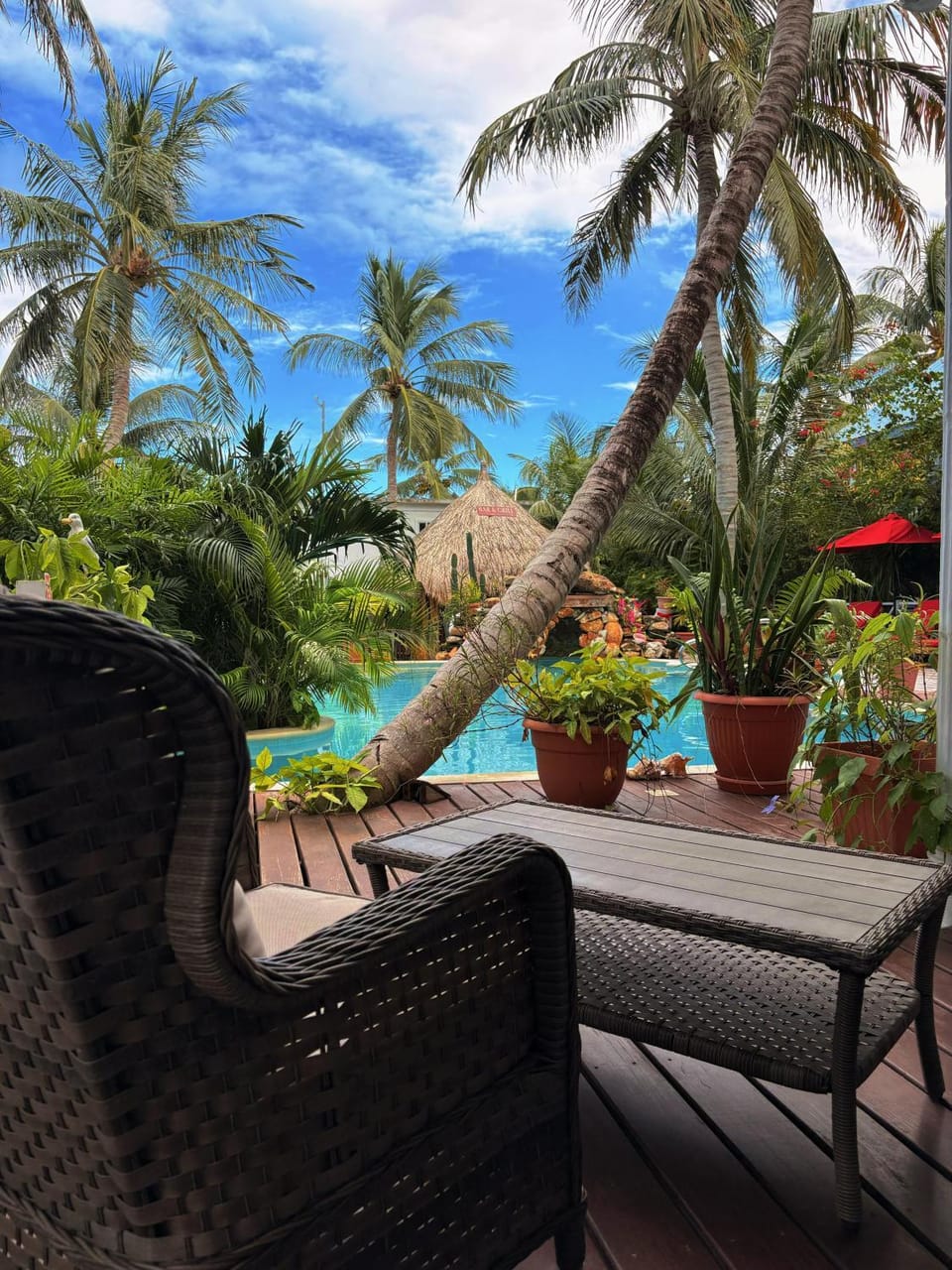 Caye Caulker Boutique Guesthouse 3 Bed and Breakfast in Belize District