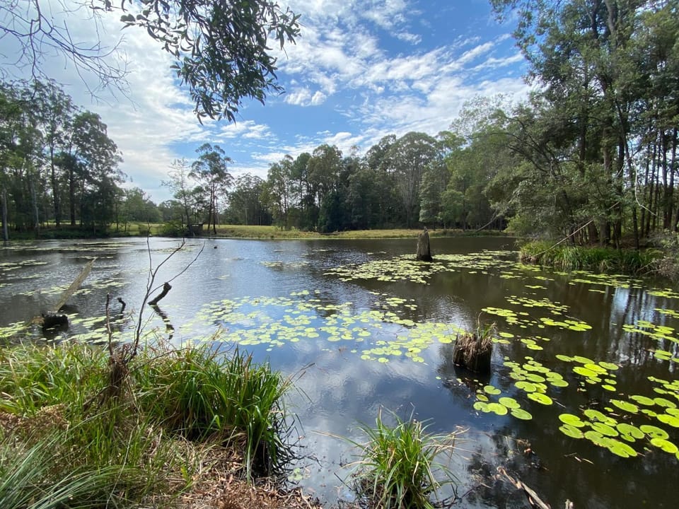 Lake view