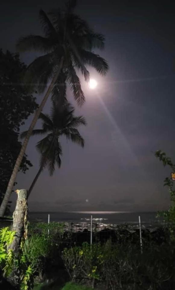 Casa blue Apartment in Jaco