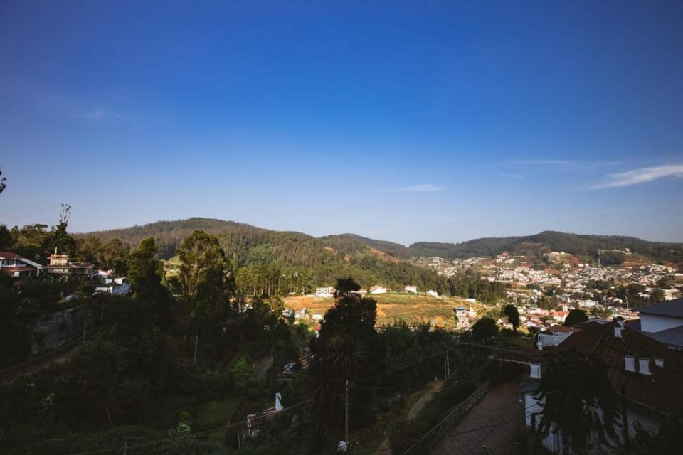 Day, Natural landscape, Bird's eye view, Garden, City view, Mountain view