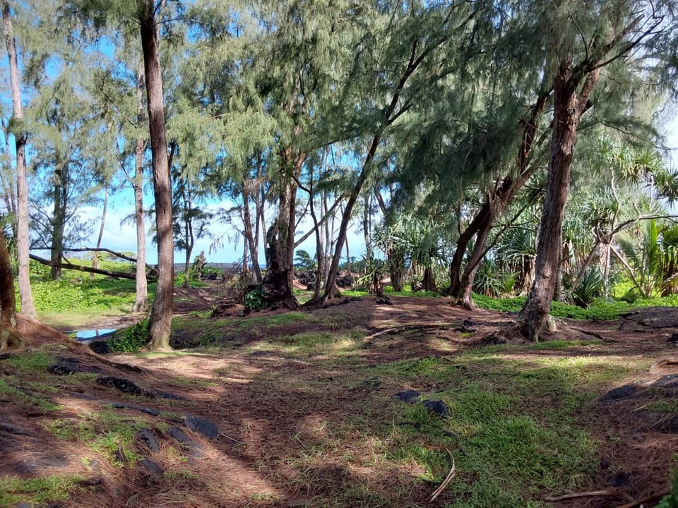 Ainaloa Home of Big Island for Queens size bedroom Country House in Ainaloa