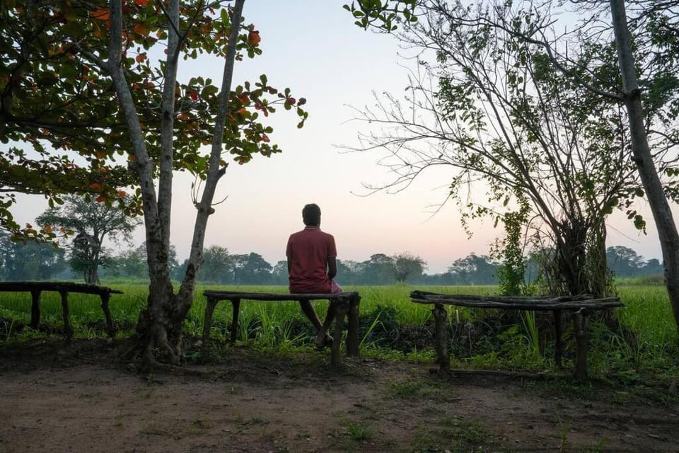 Natural landscape, Garden view, Sunset