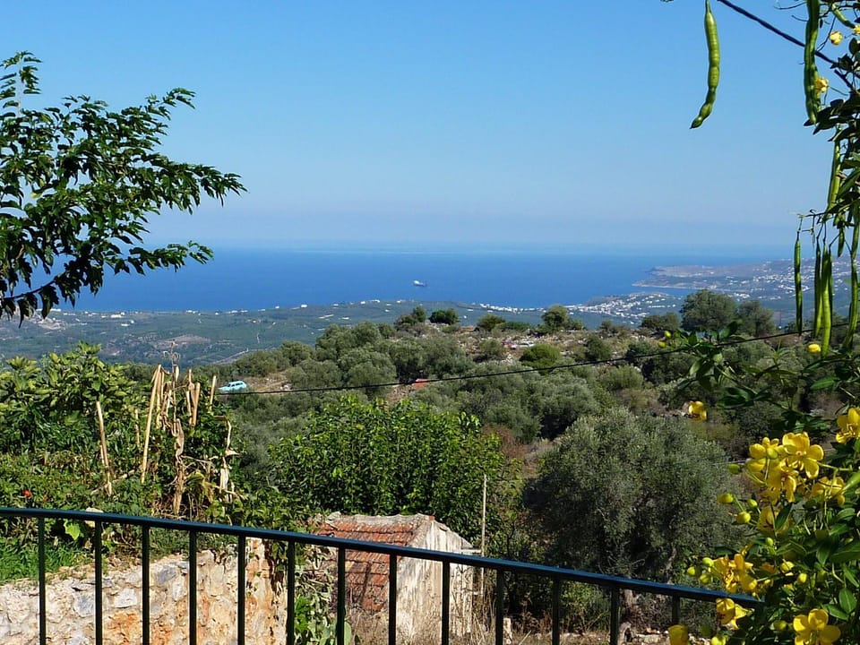 View (from property/room)