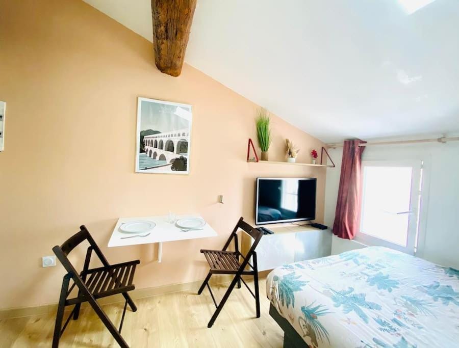 Tiny Flat - Coeur de ville studio sous les toits Apartment in Nimes